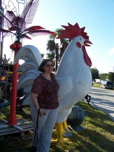 A Big Chicken